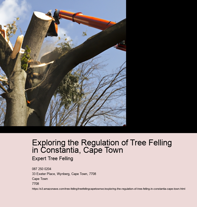 Exploring the Regulation of Tree Felling in Constantia, Cape Town